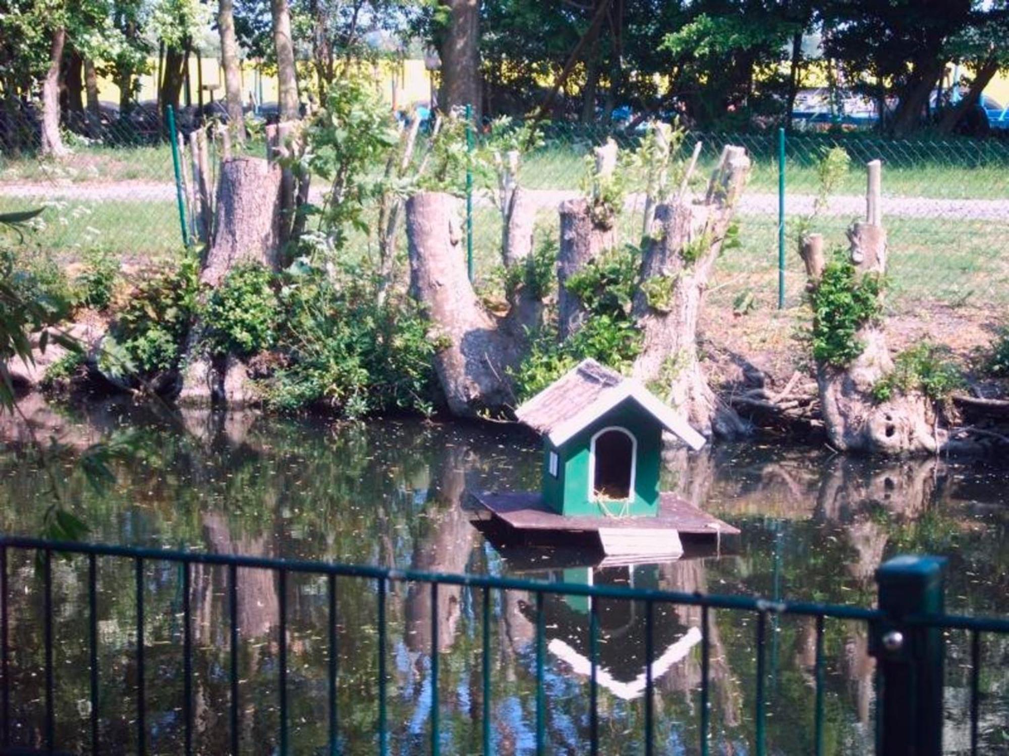 "Hoeper Mittelhof" Doppelzimmer Nr4 Lemkendorf Exterior photo